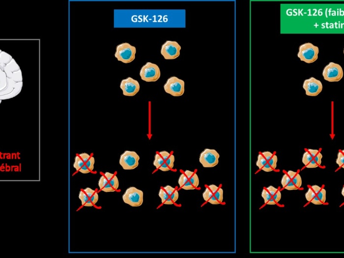 GSK-126