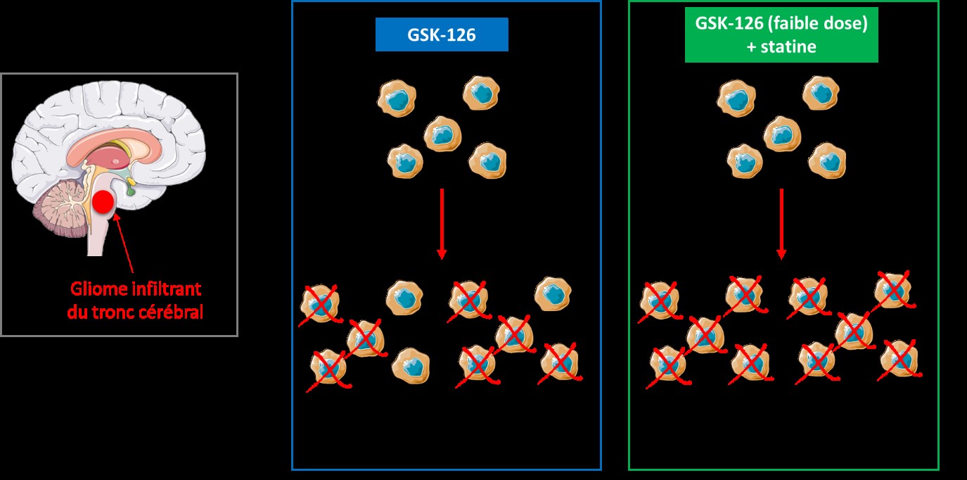 GSK-126