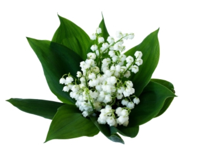 fete-du-muguet