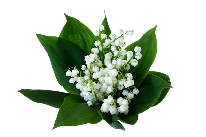 fete-du-muguet